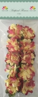 AF022 Dixi Artificial Flowers chrysanten geel-roze