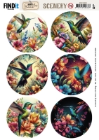BBSC10099 - Scenery Push out - Berries Beauties - Vintage Hummingbirds - Round