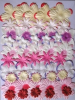 12 Flower Pack (50 paper flowers)