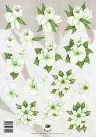 Tierelantijntje witte bloemen (2269)