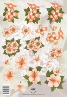 Tierelantijntje bloemen (2312)