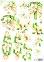 Mattie bruiloft orchideeën (MB 0071)