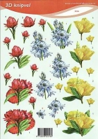 Voorbeeldkaarten bloemen (2216)