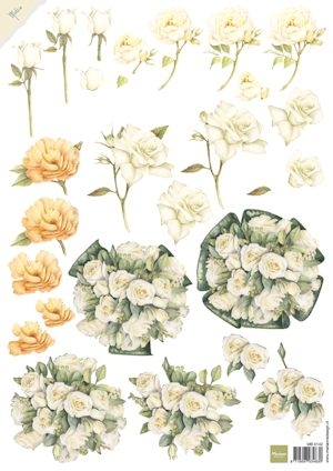 MB0142 MB Mattie mooiste - White Roses