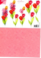 Joy! tulpen + achtergrond (6010/1011)